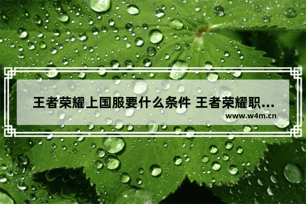 王者荣耀上国服要什么条件 王者荣耀职业选手要求