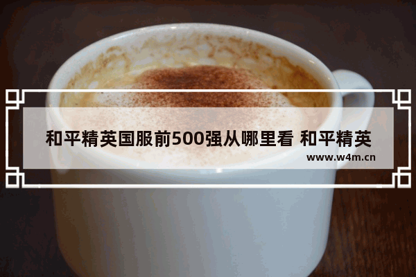 和平精英国服前500强从哪里看 和平精英前500查询