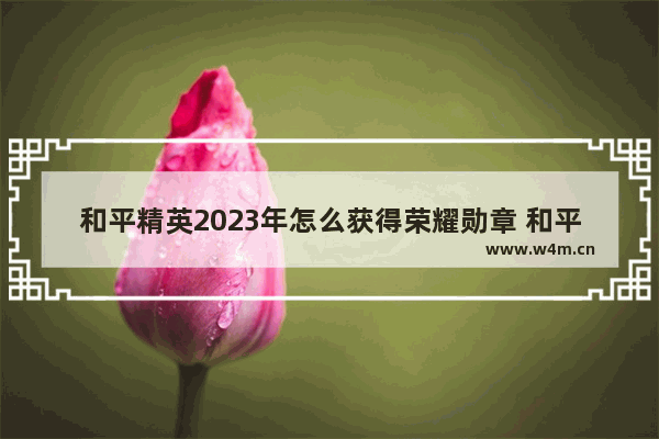 和平精英2023年怎么获得荣耀勋章 和平精英怎么得勋章币