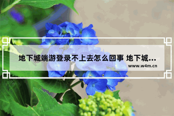 地下城端游登录不上去怎么回事 地下城与勇士为啥登录不了