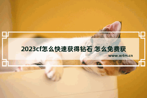 2023cf怎么快速获得钻石 怎么免费获得穿越火线钻石