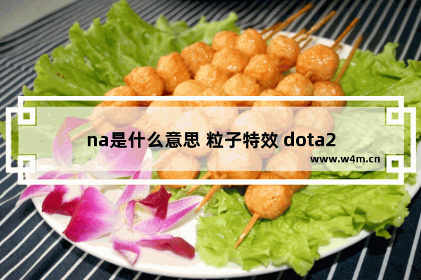 na是什么意思 粒子特效 dota2