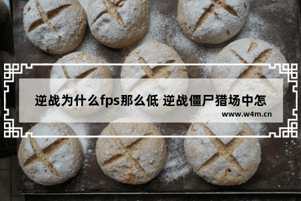 逆战为什么fps那么低 逆战僵尸猎场中怎么达到攻击3000 血3000 不要钱