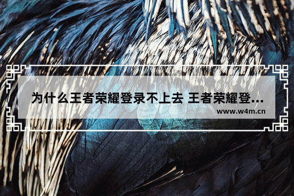 为什么王者荣耀登录不上去 王者荣耀登陆不上去