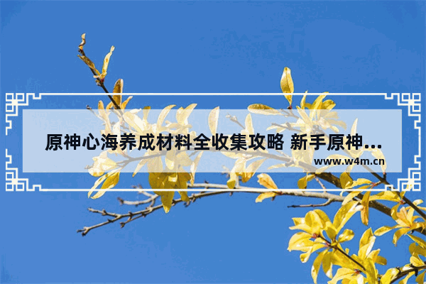 原神心海养成材料全收集攻略 新手原神攻略心海