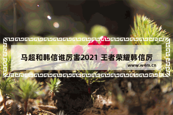 马超和韩信谁厉害2021 王者荣耀韩信厉害吗