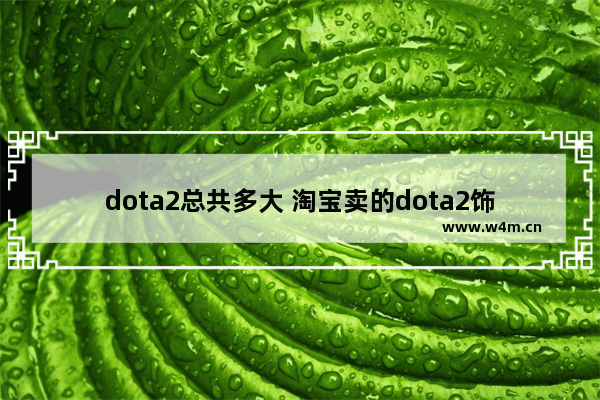 dota2总共多大 淘宝卖的dota2饰品 套装 至宝都是黑货么 有没有可信的