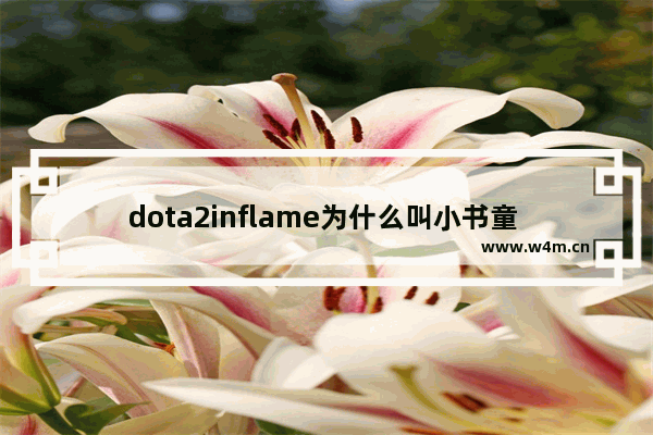 dota2inflame为什么叫小书童 小书童 dota2