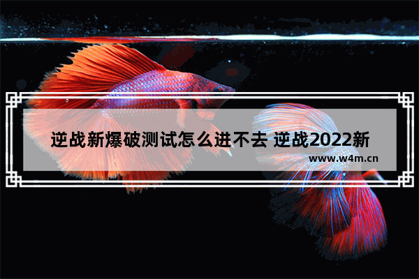 逆战新爆破测试怎么进不去 逆战2022新团竞测试怎么进去