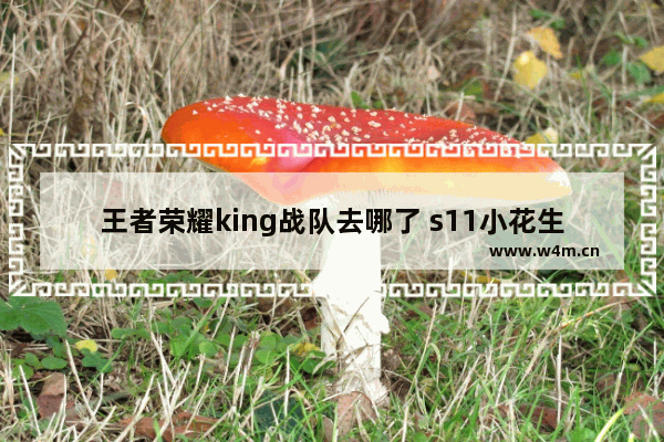 王者荣耀king战队去哪了 s11小花生去哪个战队了