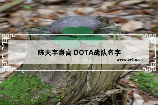 陈天宇身高 DOTA战队名字