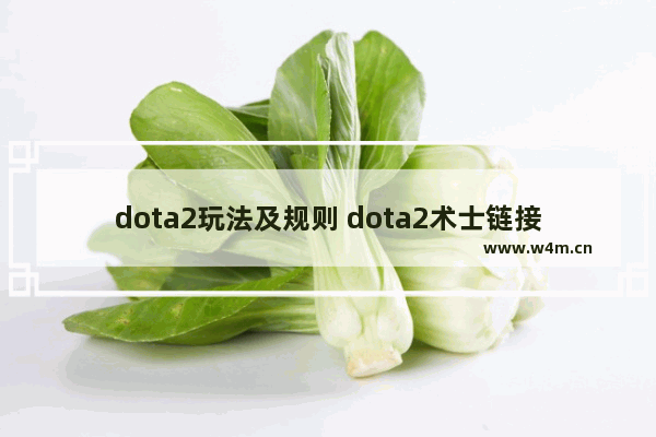 dota2玩法及规则 dota2术士链接怎么破