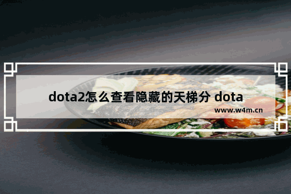 dota2怎么查看隐藏的天梯分 dota2 对白