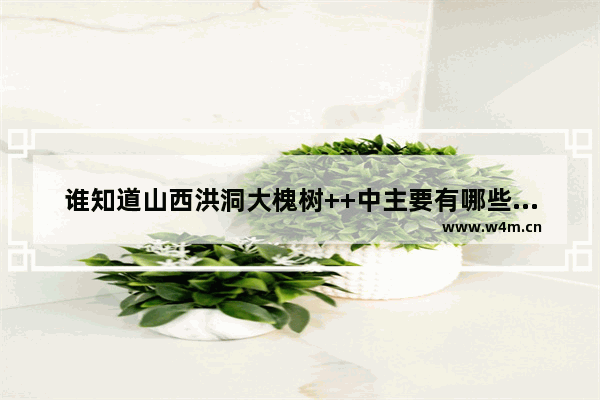 谁知道山西洪洞大槐树++中主要有哪些姓氏 地下城与勇士纽梅兰卡