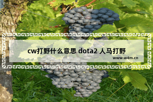 cw打野什么意思 dota2 人马打野