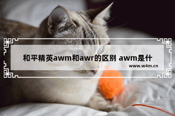 和平精英awm和awr的区别 awm是什么类型的枪