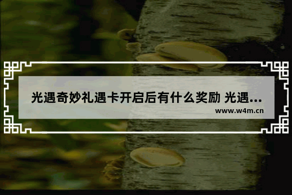 光遇奇妙礼遇卡开启后有什么奖励 光遇礼遇卡里面有什么