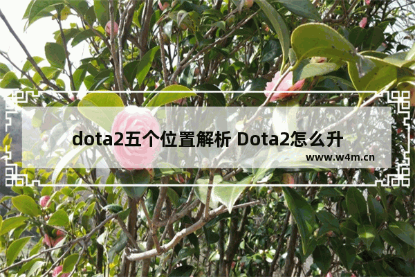 dota2五个位置解析 Dota2怎么升级快啊 我现在才5级