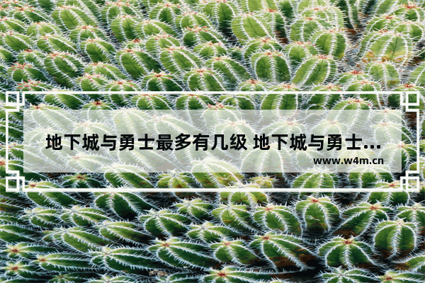 地下城与勇士最多有几级 地下城与勇士几级灯亮