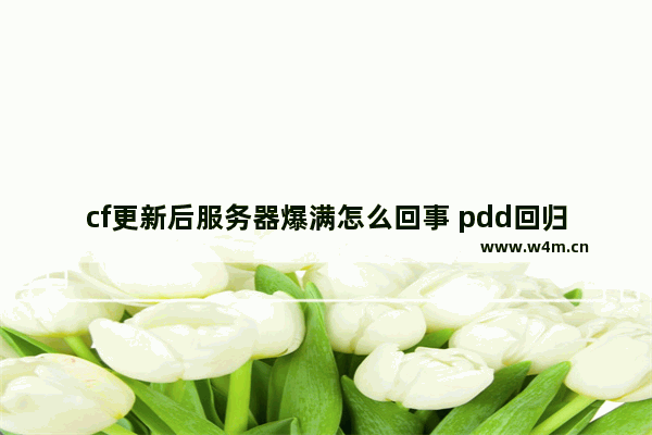 cf更新后服务器爆满怎么回事 pdd回归逆水寒去哪个服务器