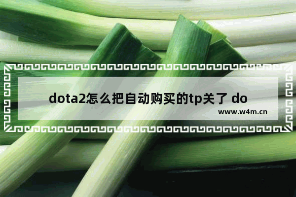 dota2怎么把自动购买的tp关了 dota2怎么关闭