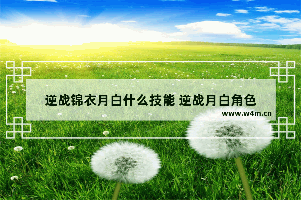 逆战锦衣月白什么技能 逆战月白角色