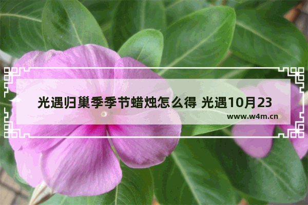 光遇归巢季季节蜡烛怎么得 光遇10月23季节蜡烛