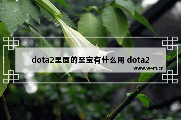 dota2里面的至宝有什么用 dota2 幻刺至宝