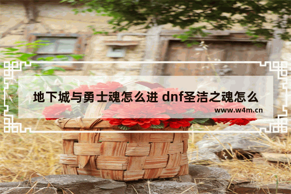 地下城与勇士魂怎么进 dnf圣洁之魂怎么获得