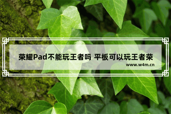 荣耀Pad不能玩王者吗 平板可以玩王者荣耀吗