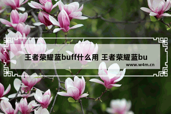 王者荣耀蓝buff什么用 王者荣耀蓝buff作用