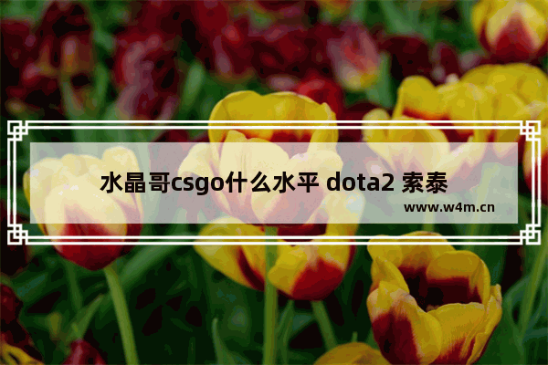 水晶哥csgo什么水平 dota2 索泰杯 决赛