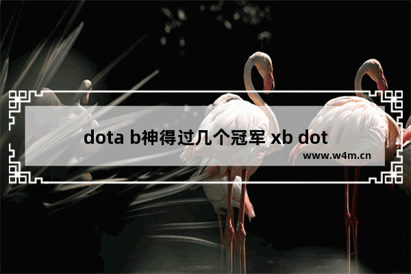 dota b神得过几个冠军 xb dota2