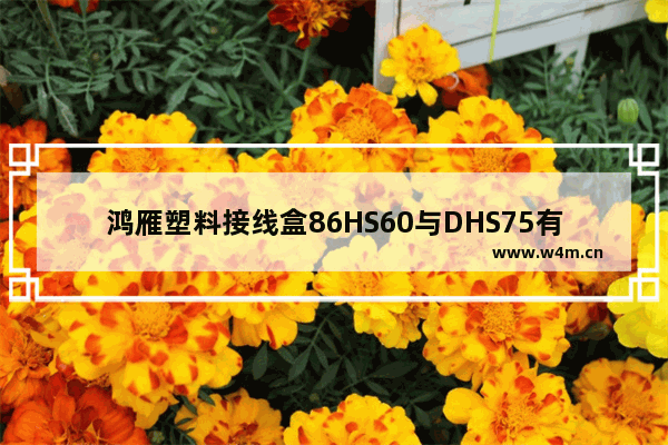 鸿雁塑料接线盒86HS60与DHS75有什么区别 地下城与勇士60级盒子