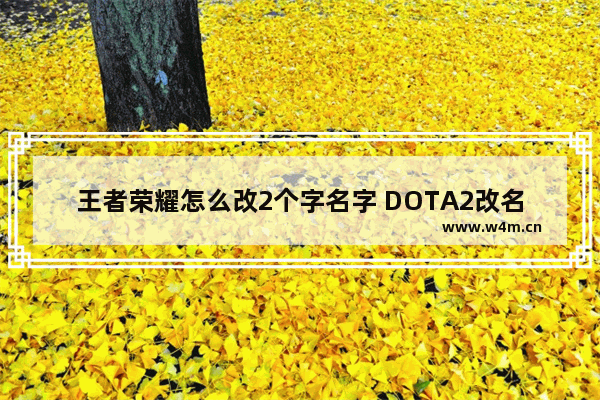 王者荣耀怎么改2个字名字 DOTA2改名申请