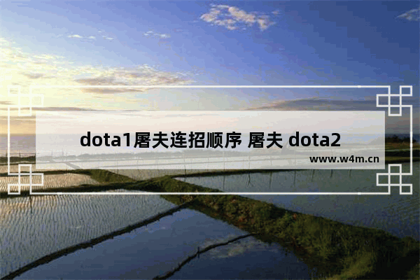 dota1屠夫连招顺序 屠夫 dota2 技能