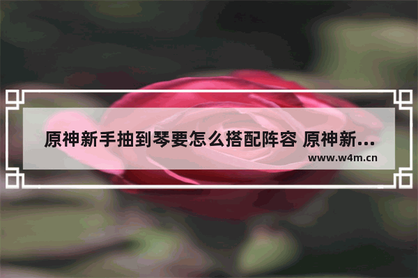 原神新手抽到琴要怎么搭配阵容 原神新手攻略琴