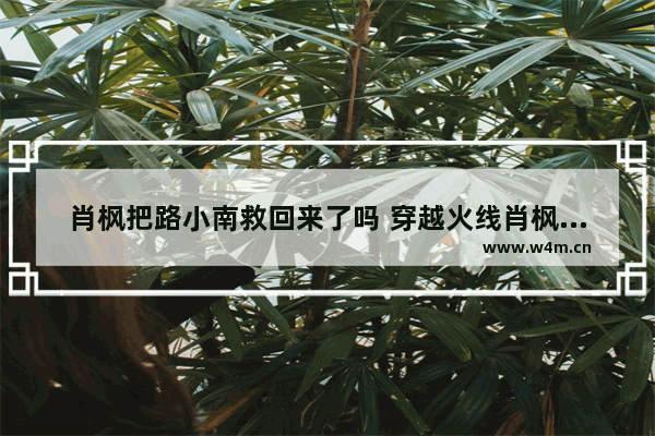 肖枫把路小南救回来了吗 穿越火线肖枫救了路小南