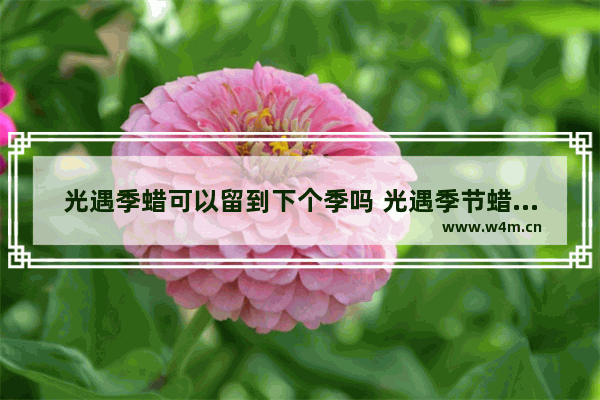 光遇季蜡可以留到下个季吗 光遇季节蜡烛过季蜡烛