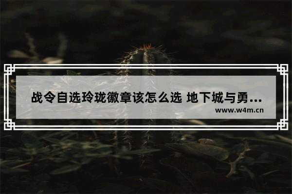 战令自选玲珑徽章该怎么选 地下城与勇士玲珑徽章选择