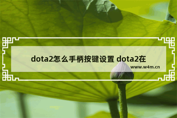 dota2怎么手柄按键设置 dota2在哪设置