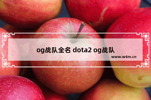 og战队全名 dota2 og战队