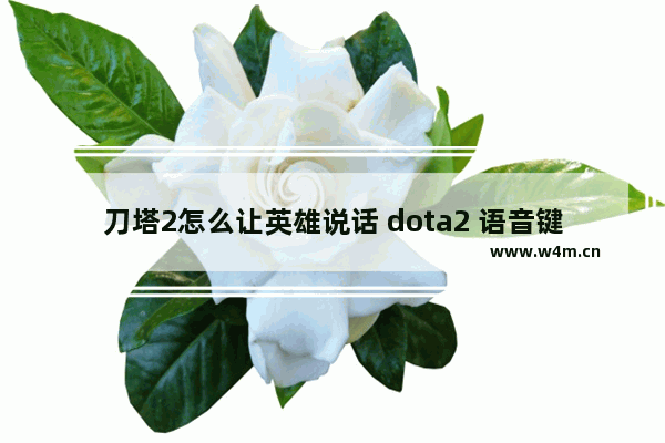 刀塔2怎么让英雄说话 dota2 语音键