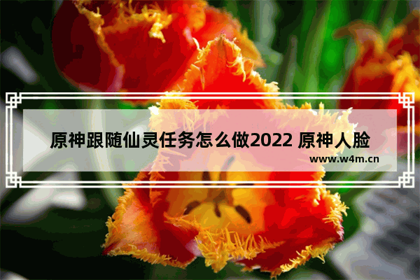 原神跟随仙灵任务怎么做2022 原神人脸识别什么时候上线2022