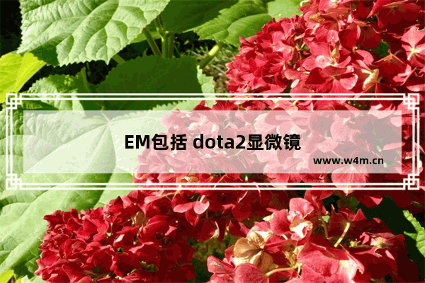 EM包括 dota2显微镜