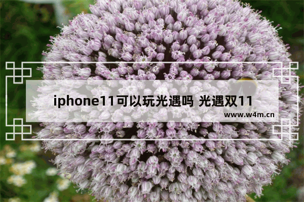 iphone11可以玩光遇吗 光遇双11有活动吗