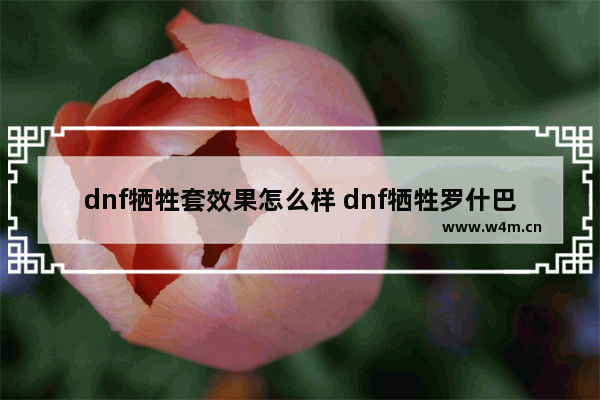 dnf牺牲套效果怎么样 dnf牺牲罗什巴赫装备怎么样