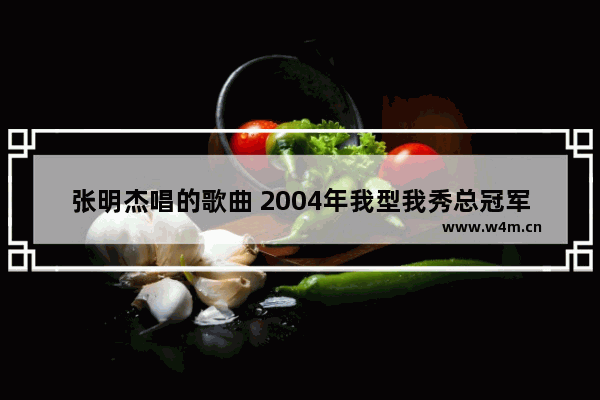 张明杰唱的歌曲 2004年我型我秀总冠军是谁