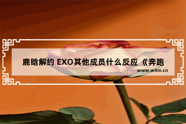 鹿晗解约 EXO其他成员什么反应 《奔跑吧》陈赫为何哭了