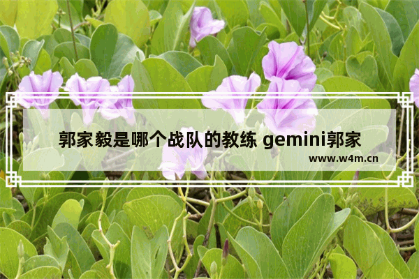 郭家毅是哪个战队的教练 gemini郭家毅哪个战队的教练